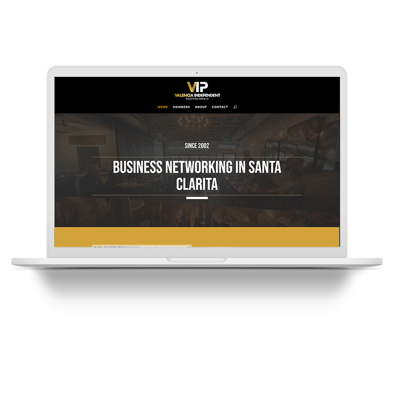 VIP Network Group Web Design Surface Busters Santa Clarita Web Design